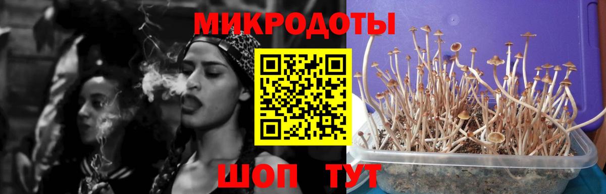 Героин Вышний Волочёк